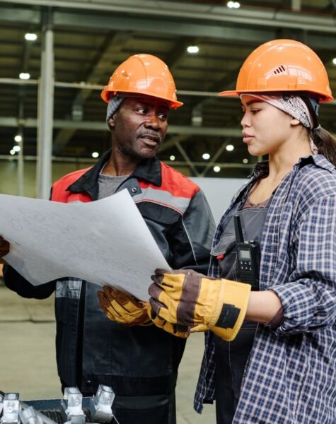 sirius-consulting-limited-business-consulting-human-capacity-development-1 (3)